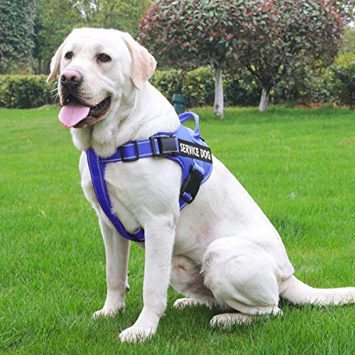 Dog Harness- 50% OFF Today Only