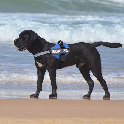 Dog Harness- 50% OFF Today Only