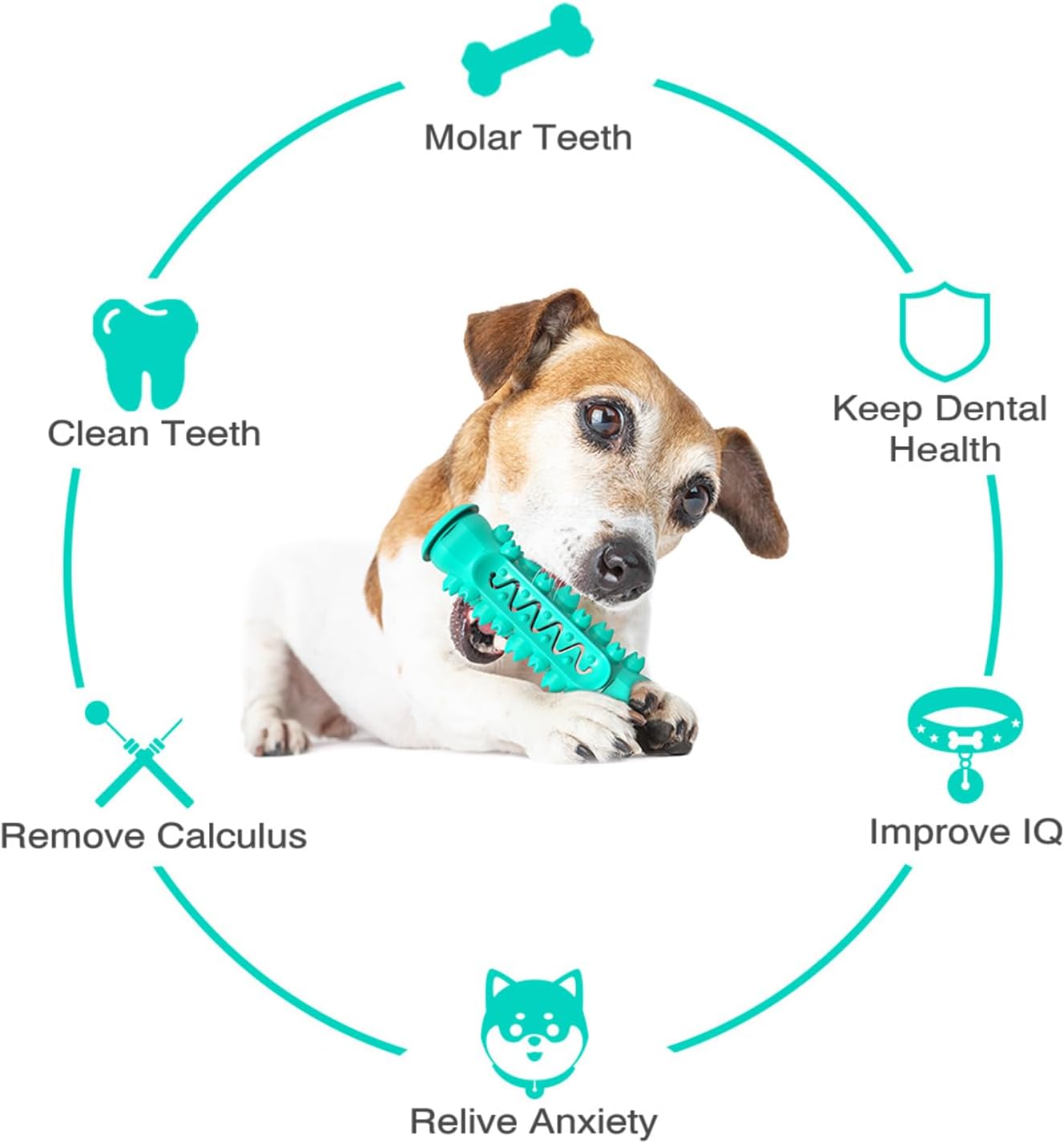 Dog Enrichment Toys, Puppy Teething Chew Toys for Small & Medium Breeds with Food Dispensing Features (Bone)