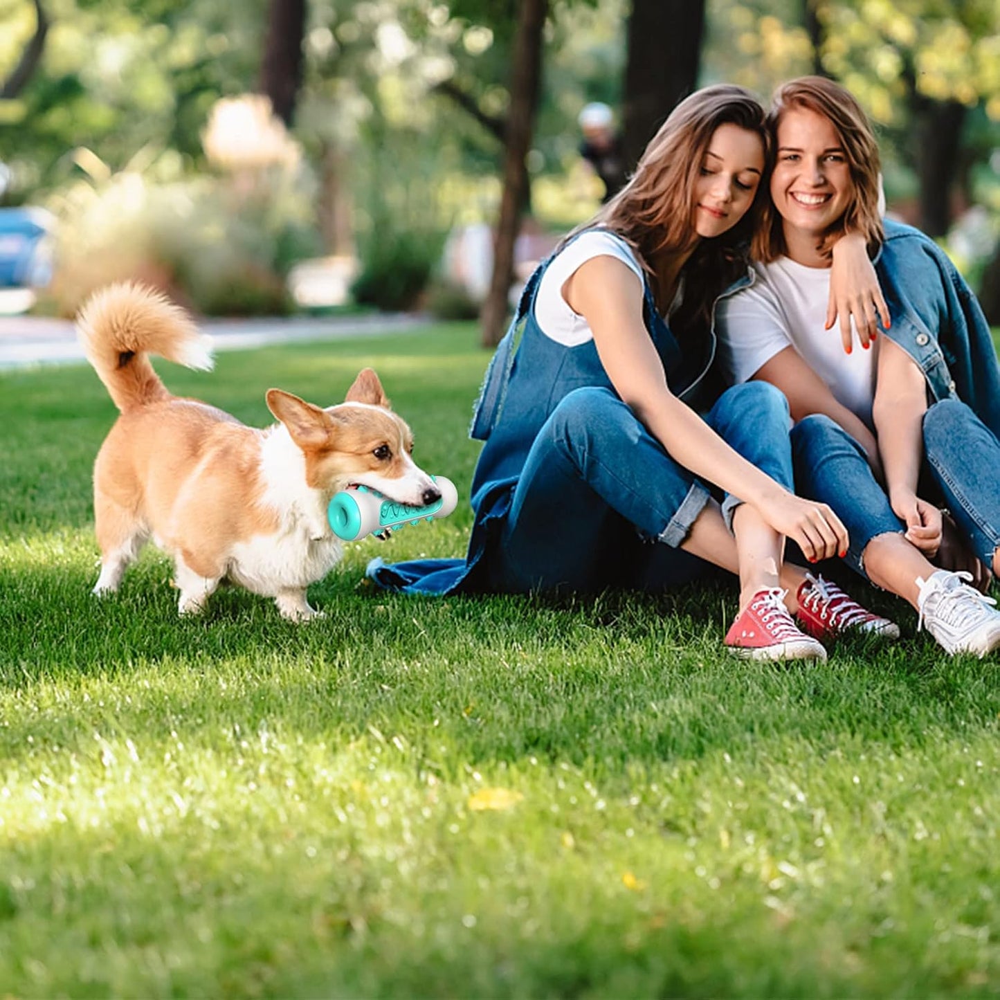 Dog Enrichment Toys, Puppy Teething Chew Toys for Small & Medium Breeds with Food Dispensing Features (Bone)