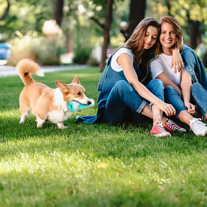 Dog Enrichment Toys, Puppy Teething Chew Toys for Small & Medium Breeds with Food Dispensing Features (Bone)