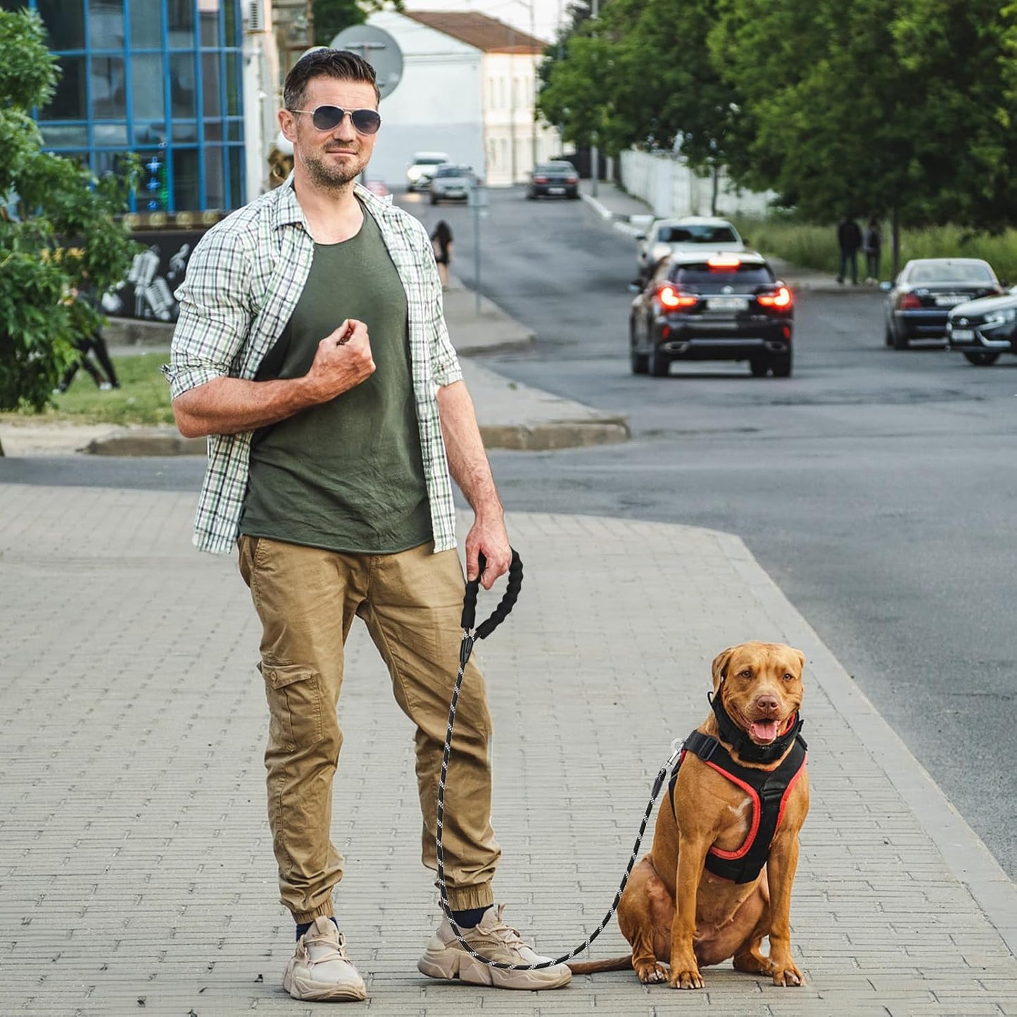 6FT Dog Leash, 1.8m Strong Rope line Dog Lead Leash with Soft Padded Handle and Heavy Duty Hook, Reflective Recall Training Leads for Large Medium Small Dog, 10mm, Black