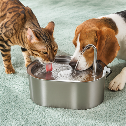 🐾😺🐶  AquaBuddy™ Filter & Fountain- 50 % OFF Today Only
