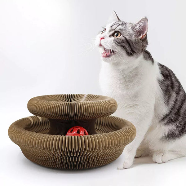 Kitty Kurlz - 50% OFF Untill Last stock