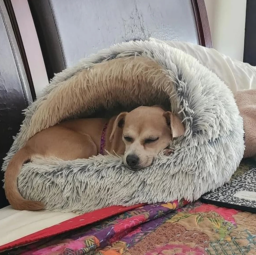 Cove Comfy Pet bad 50% OFF Today Only