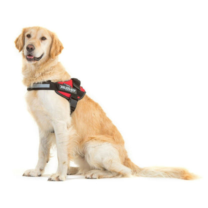 Dog Harness- 50% OFF Today Only