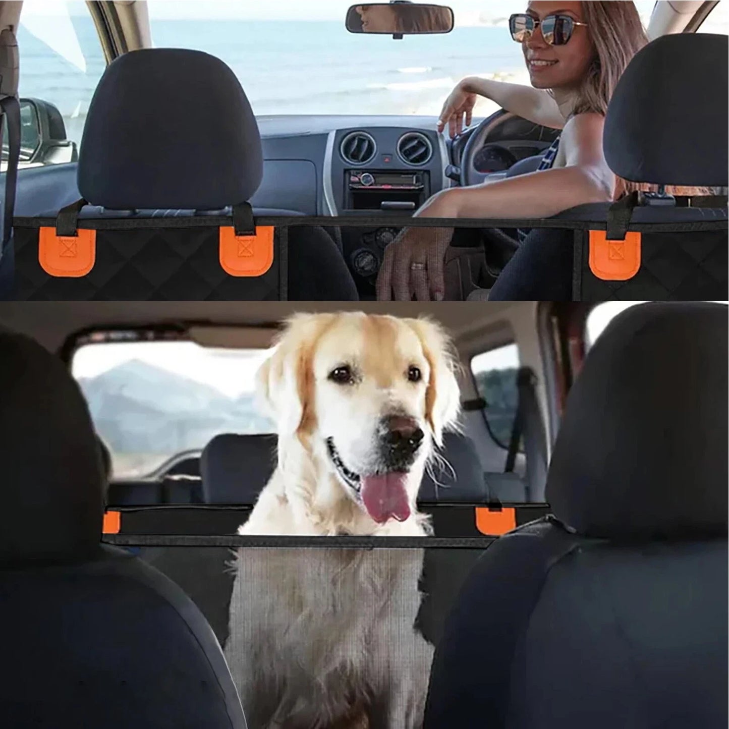 PetSafe Travel Mat™ - 50% OFF Today Only