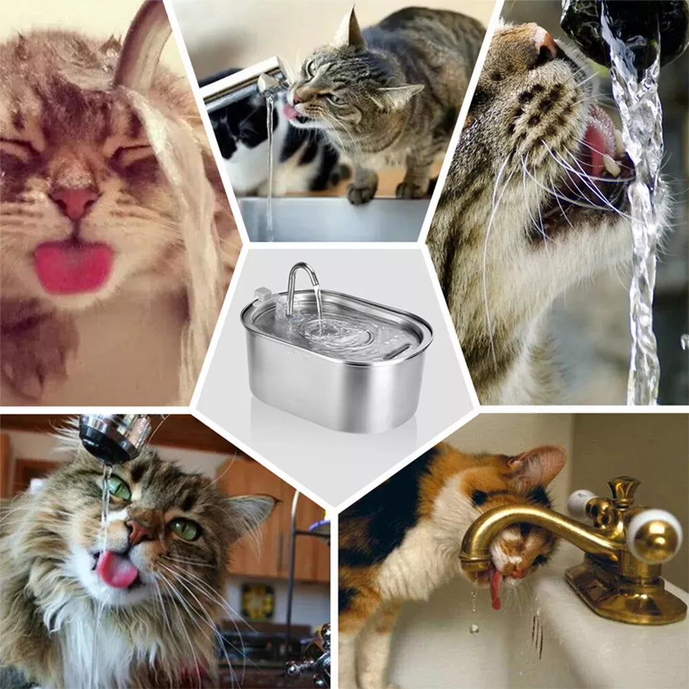 🐾😺🐶  AquaBuddy™ Filter & Fountain- 50 % OFF Today Only