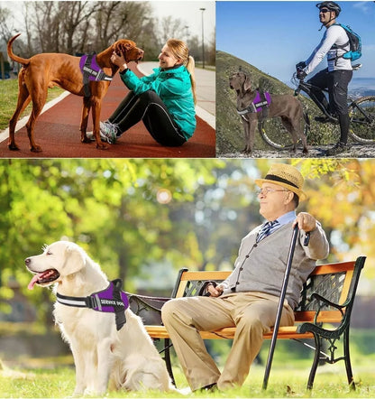 Dog Harness- 50% OFF Today Only