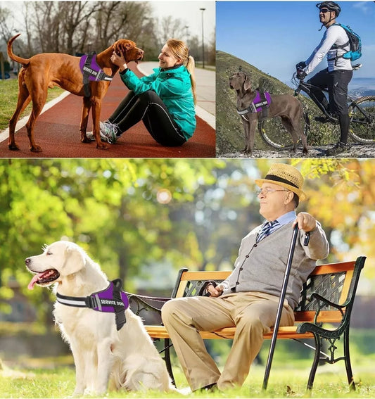 Dog Harness- 50% OFF Today Only