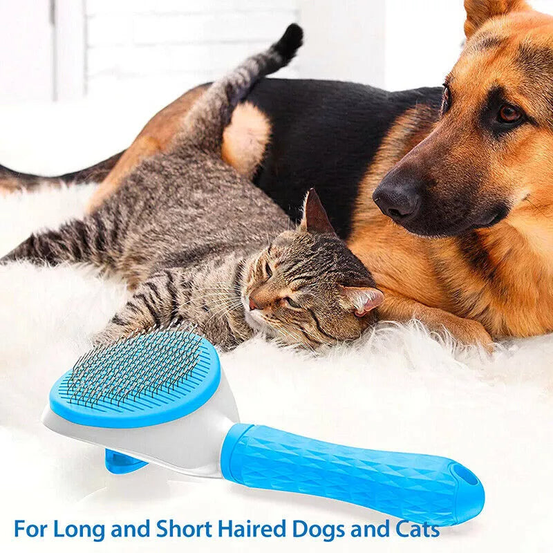 Pet Grooming Brush- 50% OFF Today Only