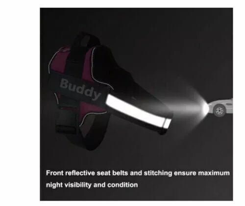 Dog Harness- 50% OFF Today Only