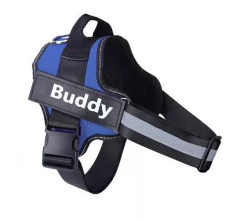 Dog Harness- 50% OFF Today Only