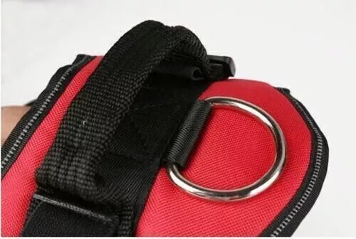 Dog Harness- 50% OFF Today Only
